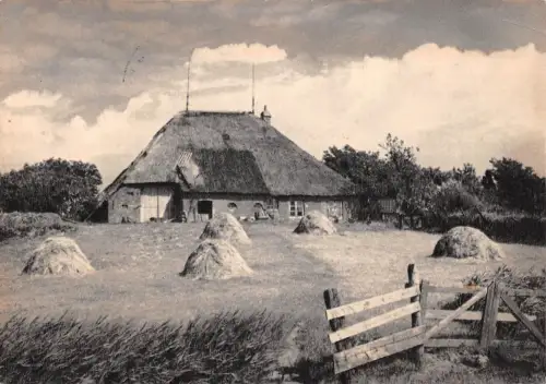Wogemannsburg bei Eiderstedt Gebäude gl1958 175.551