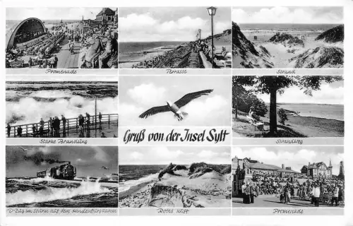 Sylt Mehrbildkarte gl1955 175.566
