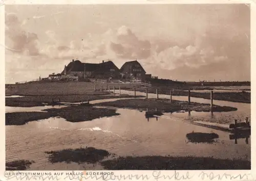Hallig Süderoog Herbststimmung gl1935 175.596