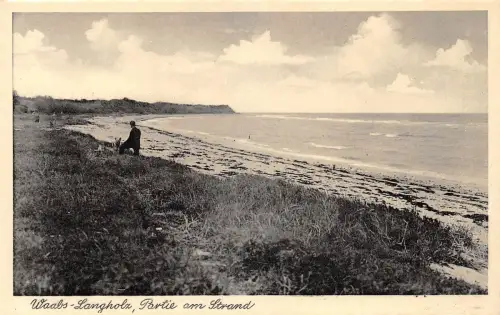 Wachs-Langholz Partie am Strand ngl 175.610