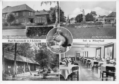 Bad Bramstedt, Mehrbildkarte ngl 175.727