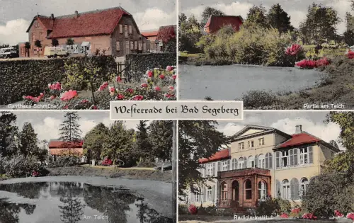 Westerrade Mehrbildkarte gl1961 175.799