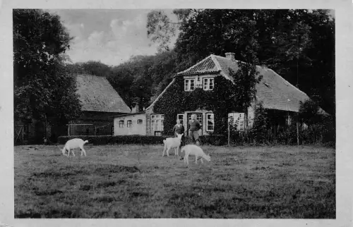 Süderbrarup, Forsthaus Christianslust ngl 175.800