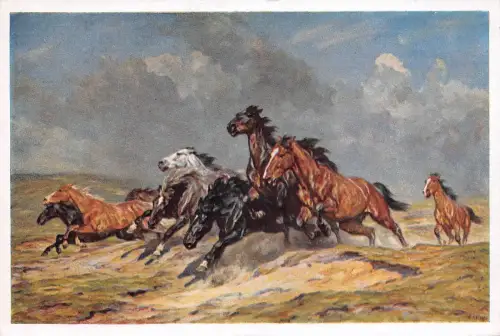 HDK 153 Alfred Roloff - Flüchtende Pferde ngl 176.195