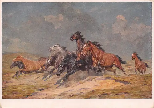 HDK 153 Alfred Roloff - Flüchtende Pferde ngl 176.194