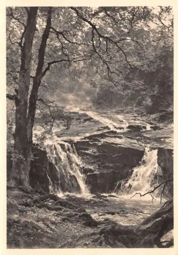 HDK 596 E. H. Compton, Die junge Elbe ngl 176.343