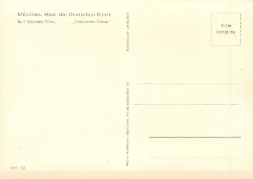 HDK 528 Rud. Schramm Einfallende Gänse ngl 176.339