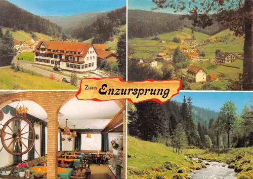 Enzklösterle Gasthof zum Enzursprung ngl 176.519