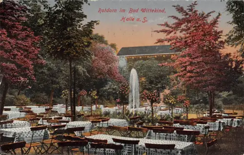 Halle (Saale) Rotdorn im Bad Wittekind gl1919 176.667