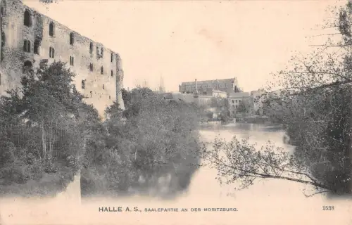 Halle (Saale) Saalepartie an der Moritzburg gl1910 176.664