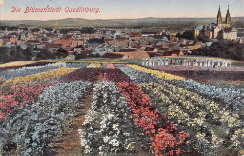 Quedlinburg Die Blumenstadt feldpgl1916 176.854