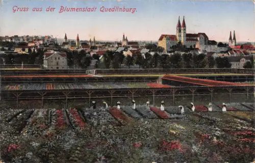 Quedlinburg Gruß aus der Blumenstadt feldpgl1915 176.853