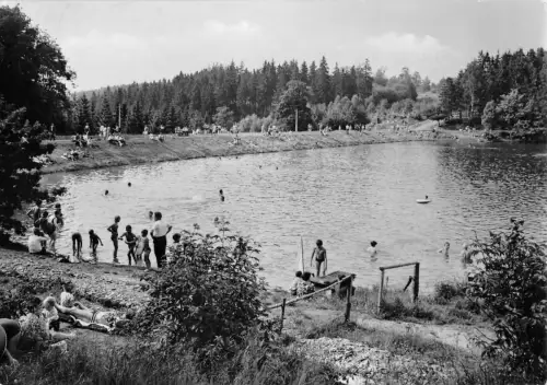 Neudorf (Kr. Quedlinburg) Birnbaumteich gl1977 176.933