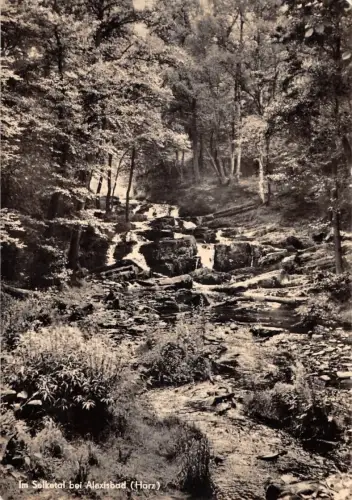 Alexisbad/Harz Im Selketal gl1965 176.934