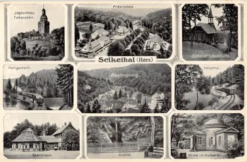 Selketal Mehrbildkarte ngl 176.950