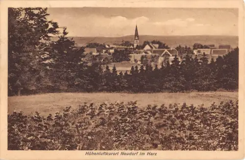 Neudorf im Harz Panorama gl 176.941
