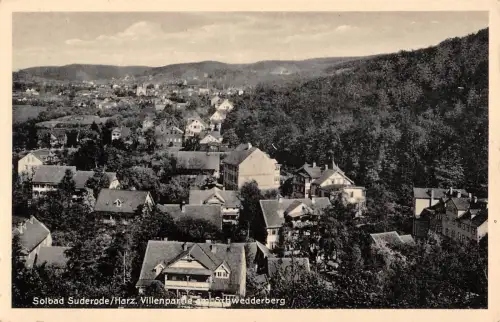 Bad Suderode Harz Villen am Schwedderberg gl1942 176.967