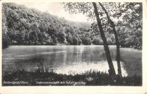 Ballenstedt (Harz) Siebersteinsteich ngl 176.974