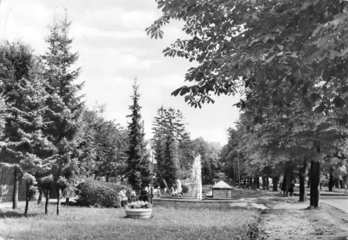 Friedrichsbrunn (Harz) Teilansicht gl1979 176.991