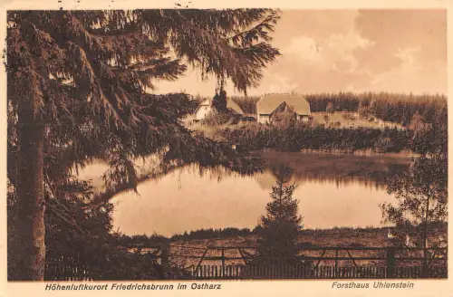 Friedrichsbrunn (Harz) Forsthaus Uhlenstein gl1928 176.986