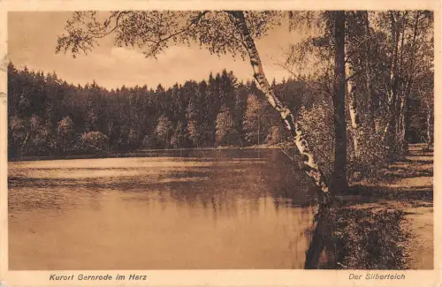 Gernrode (Harz) Der Silberteich gl1928 176.997