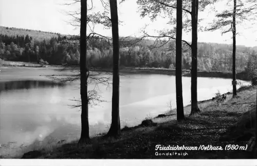 Friedrichsbrunn (Harz) Gondelteich gl1964 176.990