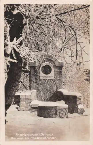 Friedrichsbrunn (Harz) Denkmal am Friedrichsbrunnen ngl 176.994