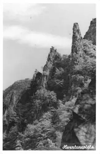 Friedrichsbrunn (Harz) Hexentanzplatz gl1971 176.993