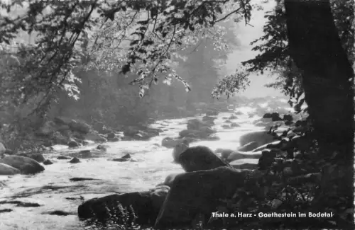 Thale (Harz) Goethesteine im Bodetal gl1966 177.048