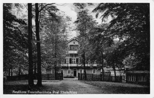 Thale (Harz) Forsthaus Dammbachhaus ngl 177.050