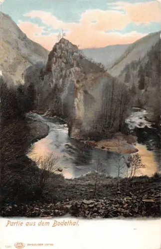 Bodetal (Harz) Partie aus dem Bodetal ngl 177.085