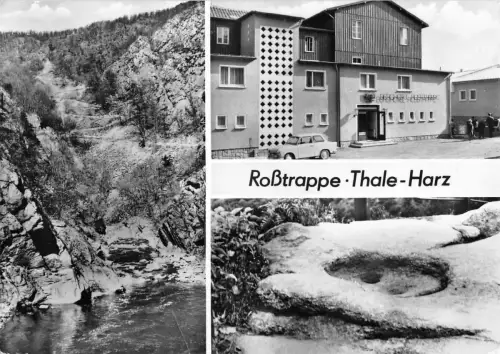 Thale (Harz) Roßtrappe gl 177.098