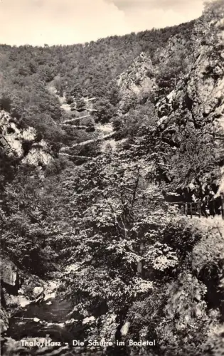 Thale (Harz) Die Schurre im Bodetal gl1971 177.091
