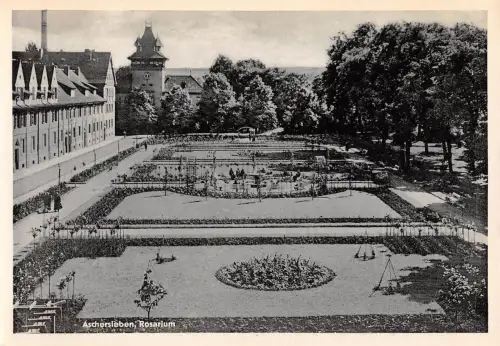 Aschersleben Rosarium ngl 117.120