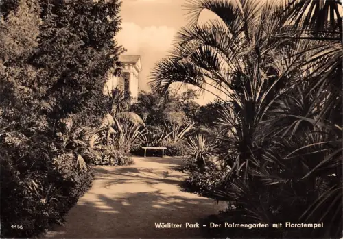 Wörlitzer Park bei Dessau, Der Palmengarten gl1962 177.142