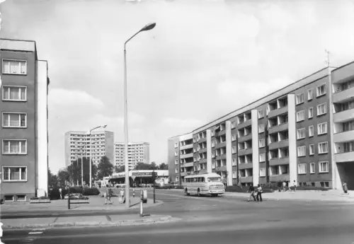 Dessau Willy-Lohmann-Straße gl1982 177.188