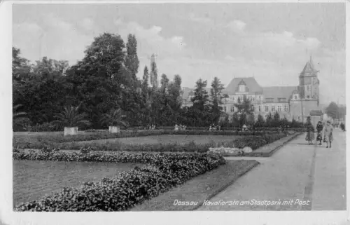 Dessau Kavaliersztaße am Stadtpark gl1953 177.194