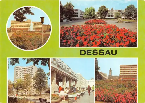 Dessau Mehrbildkarte ngl 177.227