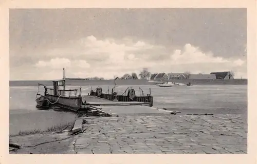 Pretzsch (Elbe) Die Elbfähre ngl 177.244