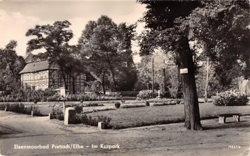 Pretzsch (Elbe) Im Kurpark gl1961 177.253