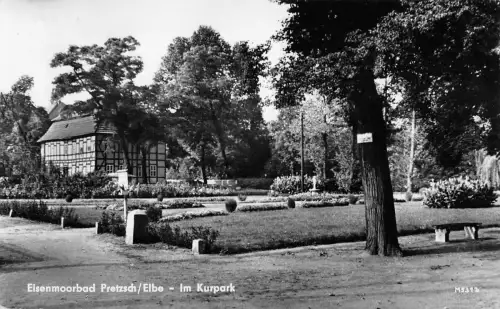 Pretzsch (Elbe) Im Kurpark gl1963 177.246