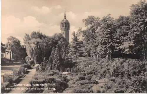 Lutherstadt Wittenberg - Botanischer Garten gl1935 177.274