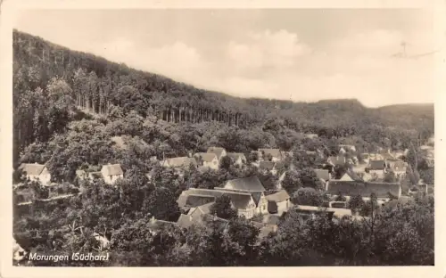 Morungen Panorama ngl 177.303