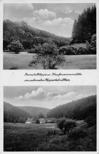 Wippertal/Harz Mehrbildkarte gl1940 177.318