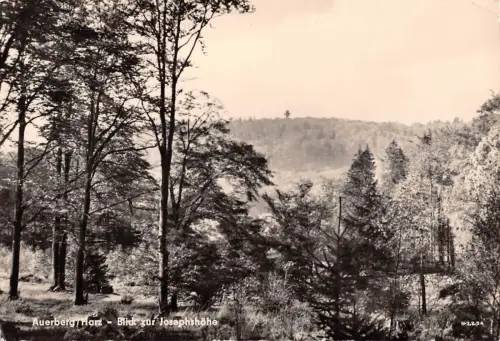 Auerberg/Harz, Blick zur Josephshöhe gl1962 177.306
