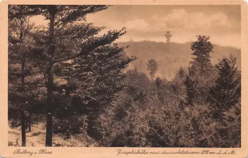 Stolberg (Harz) Josephshöhe vom Aussichtsturm ngl 177.385