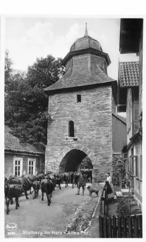 Stolberg (Harz) Altes Tor ngl 177.397
