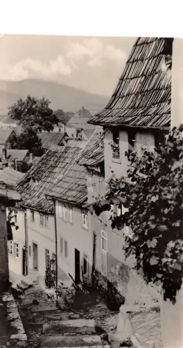 Bad Frankenhausen/Kyffh. Alte Burg ngl 177.420