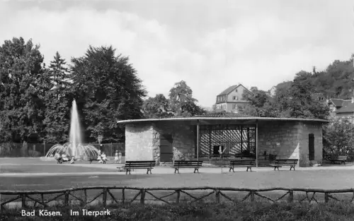 Bad Kösen Im Tierpark ngl 177.533