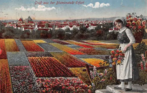 Erfurt Gruß aus der Blumenstadt gl1911 177.657